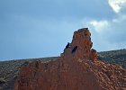 Raaf (Corvus corax) - Bayanzag 19-08-2016